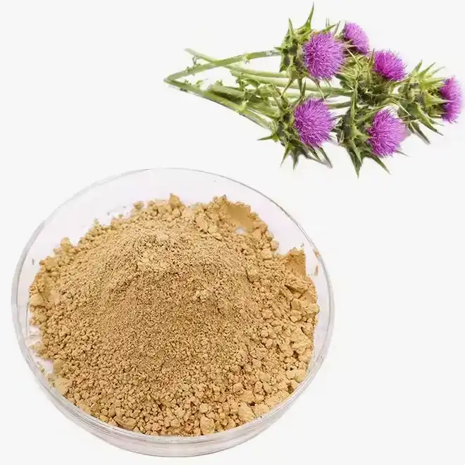 Bulk Silymarin Powder: How to Choose the Right Supplier？